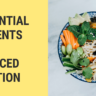 7 Essential Nutrients for a Balanced Nutrition