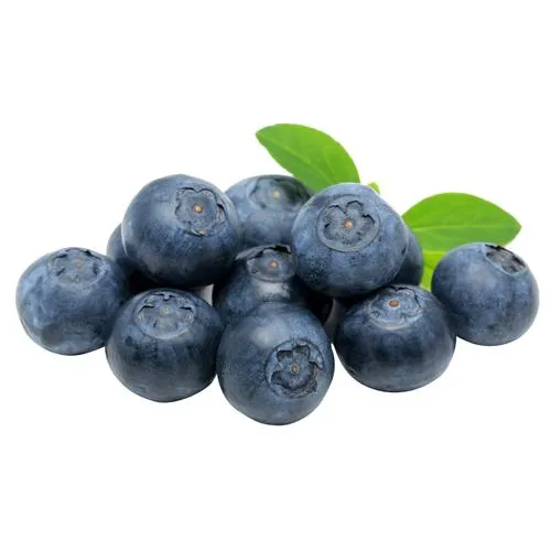 Blueberry fruits