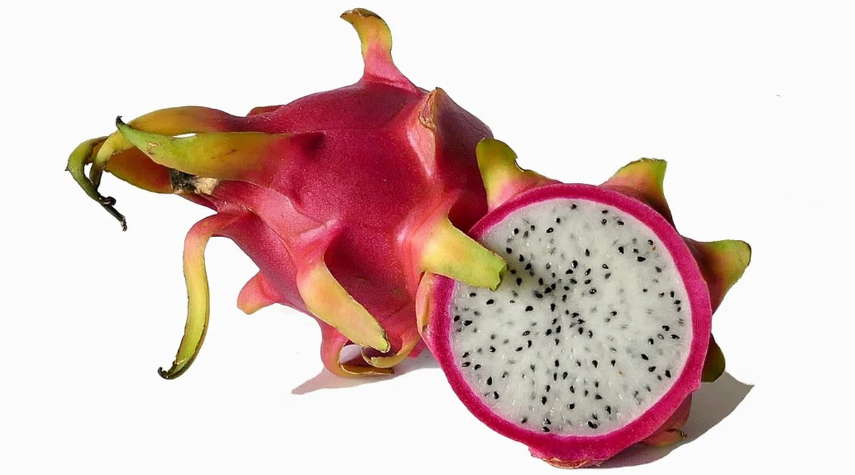 dragon fruit