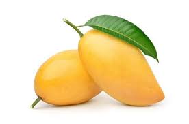 mango - pride of all fruits