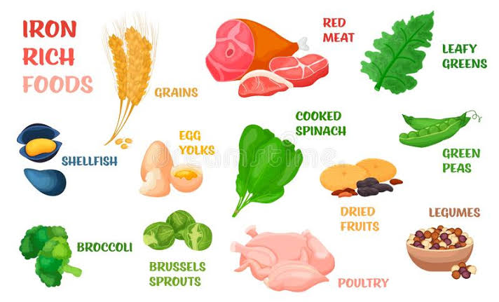 Iron rich diet for hemoglobin synthesis 