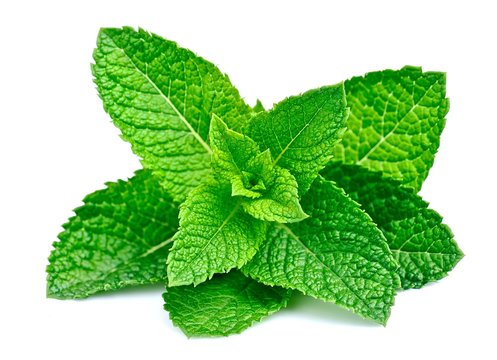 Mint leaves 