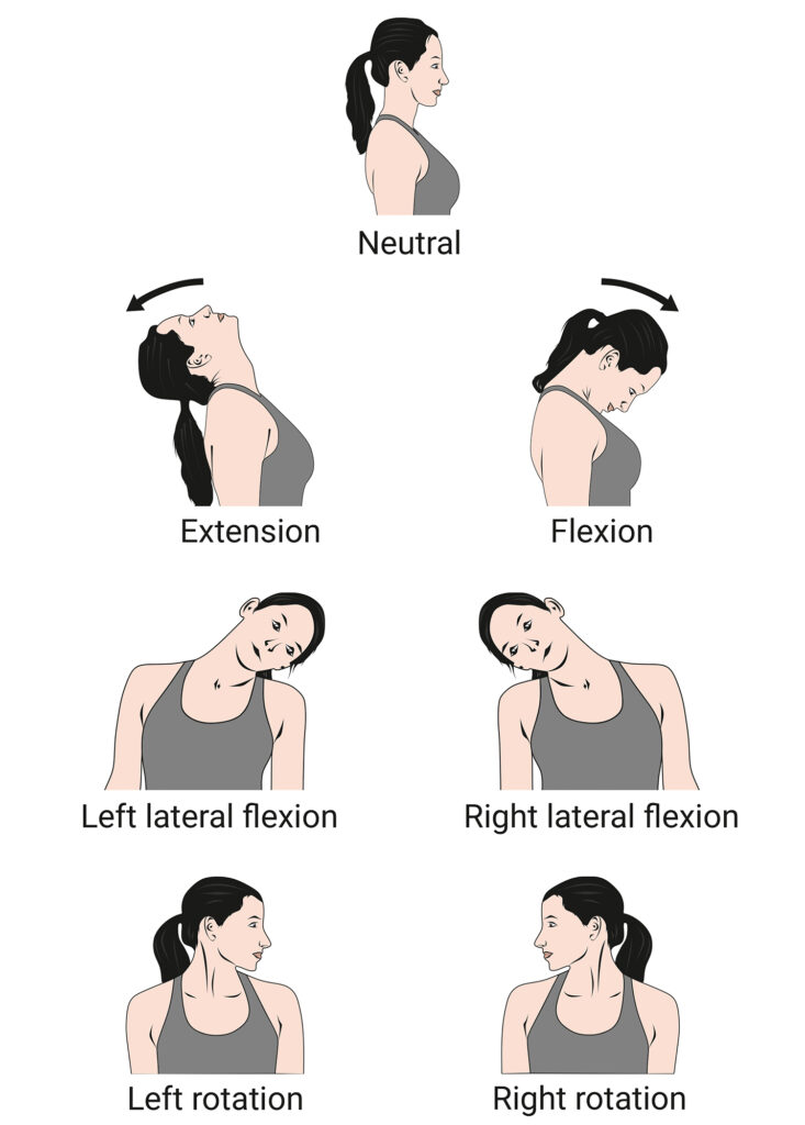 Neck roll exercise for face fat reduction 