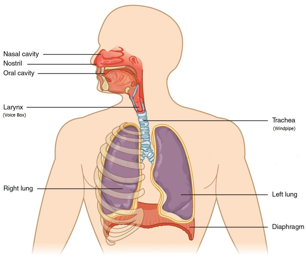 how to get rid of hiccups