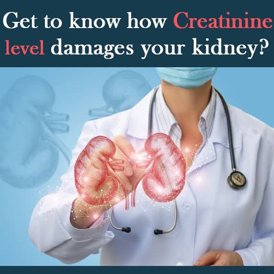 How To Reduce Creatinine Levels Naturally For Healthy Kidneys