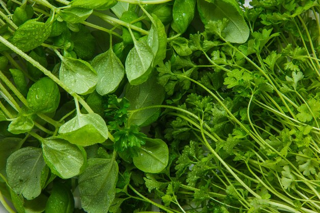 Leafy vegetables are the best superfoods for kidney health 