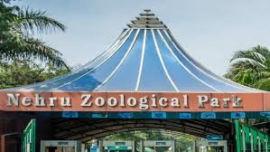 Zoo park