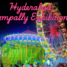 Hyderabad Nampally Exhibition